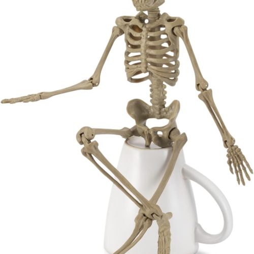16” Halloween Skeleton Decoration,Full Body Skeleton with Posable Movable Joints for Halloween Party Decorations