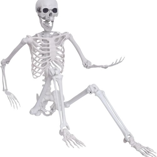Halloween Skeleton Decor,5.4ft Posable Skeleton Full Body Human Skeleton for Halloween Decorations