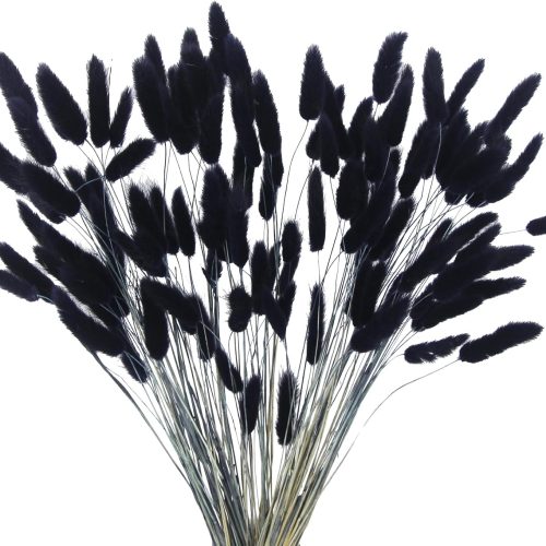CISDUEO 120pcs Dried Bunny Tails Flowers Lagurus Ovatus Tail Dried Flowers Pampas Grass Black Natural Dried Floral Arrangement for Boho Decor Home Wedding DIY Farmhouse Table Christmas Halloween
