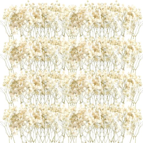 Fumete 50 Pcs Mini Dried Baby Breath Flowers Wedding Ivory Natural Flowers Bulk Dried Gypsophila for Vase Brides Shower Invitation Card DIY Candle Making Decor Craft Party Resin Art, 2-4 in