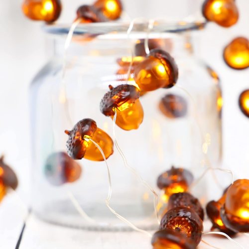 Acorn Lights Fall String Lights with Acorn Ornaments Orange Fairy Lights Battery Operated for Cute Fall Decor Fall Favorites Home Decor
