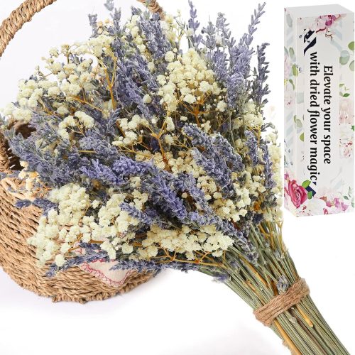 FUKUOKA Dried Lavender & Baby's Breath Flowers Bundles, 2 Bunches Dried Flower Bouquet for Vase, Natural Gypsophila, Valentines Day Decor Present, Home, Wedding, Photography, Floral Arrangement, DIY