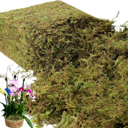 BYHER 35 OZ Large Capacity Fake Moss for Plants Indoor, Fresh Green Moss for Potted Plants Craft Moss for Home & Office Decor Fairy Garden Decoration (Fresh Green - 992gr)