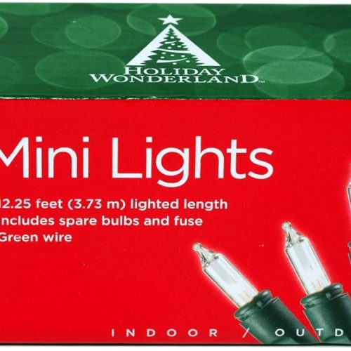 1 50-Count Clear Christmas Light Set