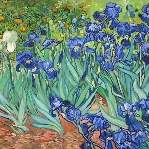 1 NIHO-JIUMA Diamond Painting Kits Van Gogh Irises, DIY 5D Full Drill Diamond Art Gift for Adult/Teen, Home Decoration (12 X 16 inches / 30 X 40 cm)