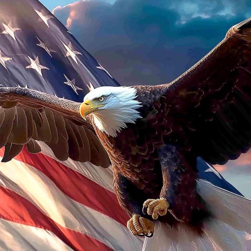 1 Pavemlo 5D Diamond Art Kits for Adults Flag Eagle, Full Drill Diamond Art Animal Pictures Paint with Diamonds, DIY Cross Stitch Jewel Art Rhinestone Craft for Home Wall Decor 12x16 Inch