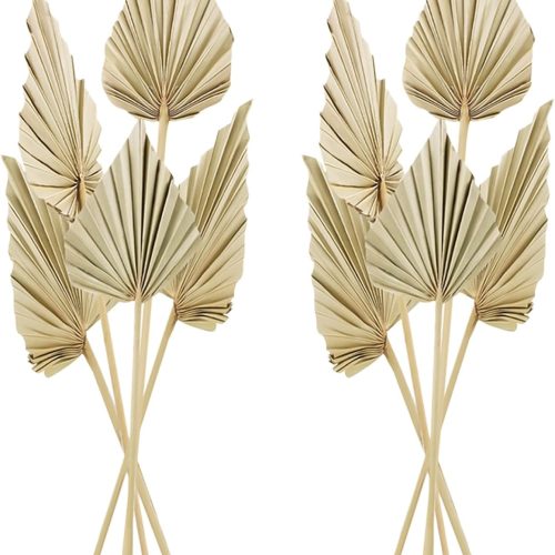 10 Pcs Boho Dried Palm Spears Leaves, Real Palm Fans with Stem, Boho Home Decor for Vase, Wedding, Office, Home (10 Pieces)