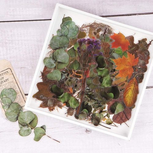 80 PCS Large Vintage Fall Leaf Stickers, Flower and Leaves Stickers Set, Autumn PET Transparent Decorative Flowers and Plant Series Eucalyptus Decals for Scrapbook, Planner, Bullet Journal