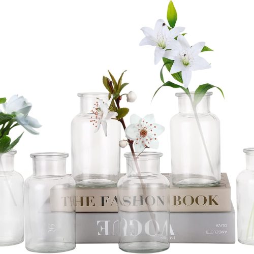 Set of 6 Glass Vases, Clear Glass Bud Vases, Small Flower Vases, Decorative Glass Bottles, Vintage Look Apothecary Jars for Wedding Dining Table Home Decor (Wide Clear)