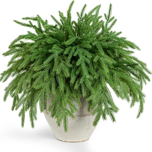 50 Pcs Artificial Norfolk Pine Stems, Real Touch Faux Greenery Picks for DIY Wreaths, Centerpieces, Holiday Crafts – Realistic 13 Inch Faux Greenery Branches