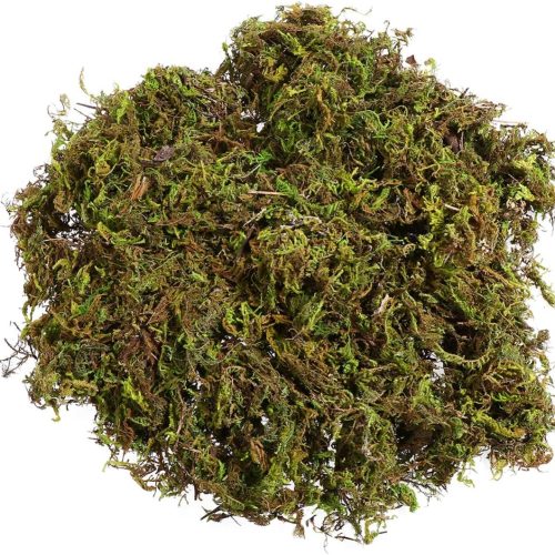 IMIKEYA Artificial Moss : 60g Artificial Green Fake Moss for Crafts Decorative Artificial Faux Mosses for Plant Craft Flower Garden Wedding Christmas Table Centerpieces Decor