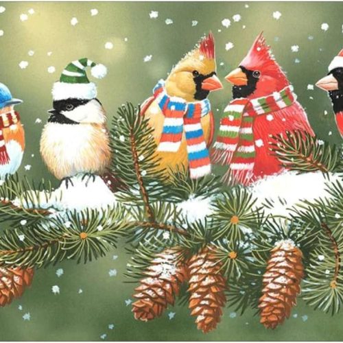 Stalente Diamond Painting Kits for Adults, Diamond Painting Christmas, Diamond Art Birds, DIY 5D Round Full Drill Diamond Art Kits for Home Decor 13.7X17.7in