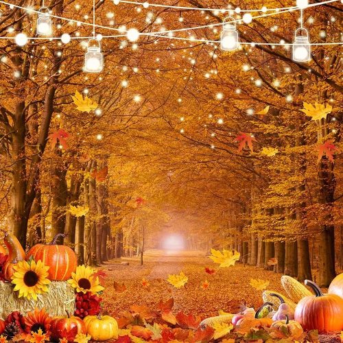 1 Dudaacvt Fall Thanksgiving Pumpkin Backdrop 7x5ft – Autumn Forest Path Background with Hay Bales, Corn, Leaves, and String Lights for Harvest Festival, Family Gathering, or Photo Booth Decor D640