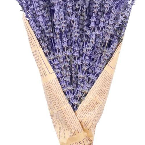 1 Uieke Dried Lavender Bundles, Natural Dried Lavender Flowers 150 Stems 15-17" for Shower Home Fragrance Weeding Crafts Decor 50g(1.76oz)