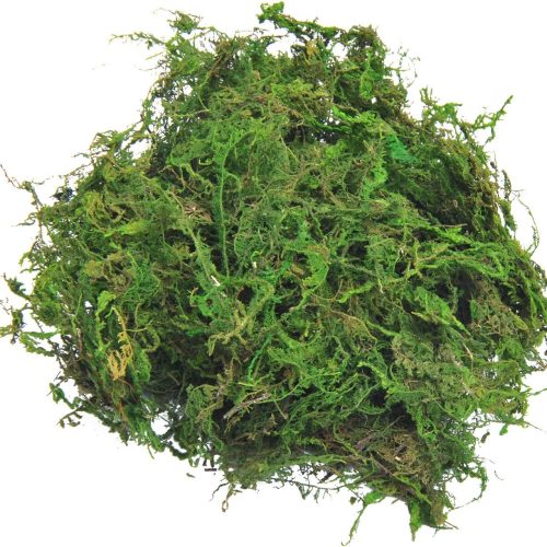 1 Fake Moss for Centerpieces Decor, Aftificial Green Moss for Plant Crafts Flower, 3.5oz