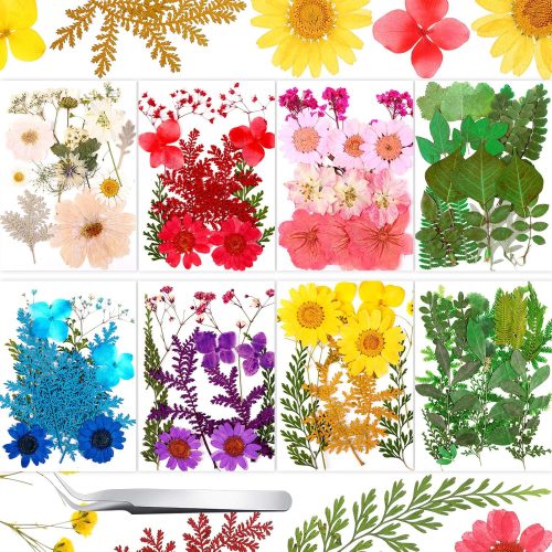 1 Nuanchu 109 Pieces Dried Pressed Flowers for Resin, Real Pressed Blooms Leaves Mixed Variety of Dried Flora with Tweezer for DIY Art Crafts Scrapbooking, Candle, Nails Decor, Soap Making
