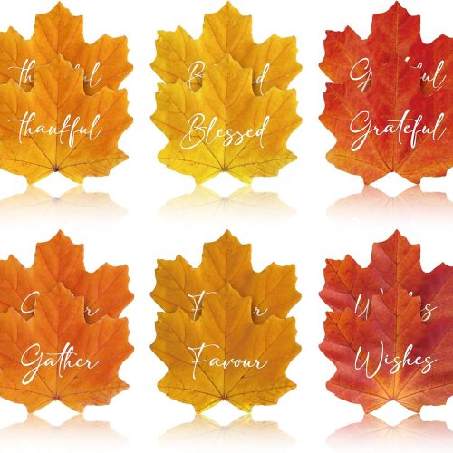1 Mumufy 12 Pieces Thanksgiving Placemats Thanksgiving Harvest Maple Leaf Shaped Plastic Placemats Grateful Thankful Blessed Harvest Table Mats for Fall Autumn Dinner Table Decor 13.6x11.8 Inches