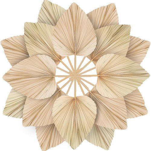 1 10 Large Bulk Boho Dried Palm Leaves, Fans with Stem, Natural Tropical Palm Flowers, Wedding Vase Decor