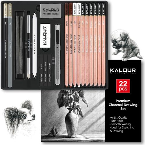 1 22pcs Charcoal Drawing Set, Professional Art Supplies, Black & White Charcoal Pencils for Drawing, Sketching, Shading, Blending, Artist Pencils for Beginners & Pro Artists