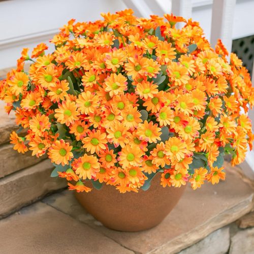 1 Click to see full view 4+ 10 VIDEOS Daisy Artificial Flowers for Outdoors Fall Autumn Decoration, 6 Bundles Fake Mums Orange Silk Flowers for Outside Look Real UV Resistant Fake Plants Faux Flowers for Planter Front Door Home Indoor Urn
