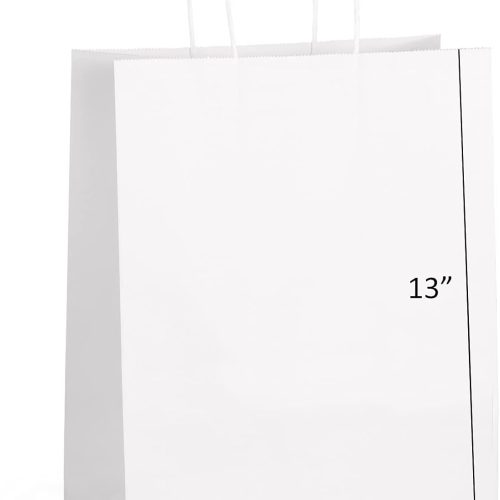 Eupako Kraft Shopping Bags 10x5x13 - 100 PCS White Paper With Handles, Gift Bulk, Party Favor, Merchandise, Retail