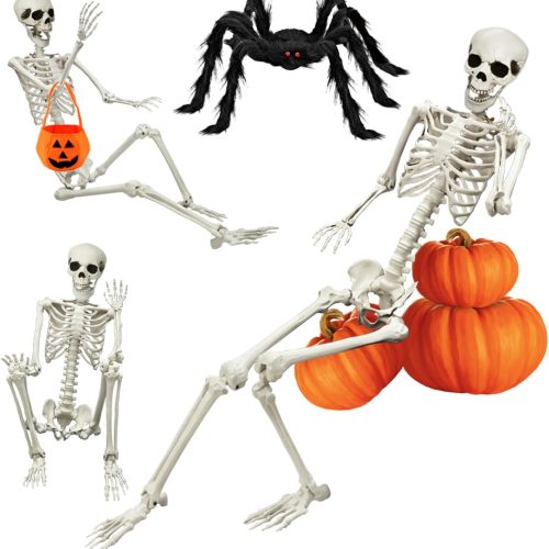5.4FT Halloween Life Skeleton with Spider, Full Size Skeleton for Halloween Patio Lawn Garden Props Spooky Party Decoration