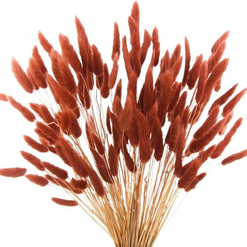 1 120pcs Burnt Orange Bunny Tails Dried Flowers,17" Dried Faux Pampas Grass Bulk Decor Fall Pampas Dried Boho Flowers Lagurus Ovatus Rabbit Bunny Tail Grass for Home Wedding Decor Crafts