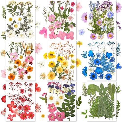 167 Pcs Real Dried Pressed Flowers Natural Dried Flowers Colorful Daisy Mixed Wildflowers Leave for DIY Candle Resin Nails Jewelry Pendant Crafts Floral Art (Multicolor,Lovely Style)