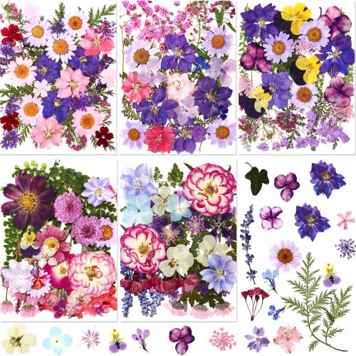 167 Pcs Real Dried Pressed Flowers Natural Dried Flowers Colorful Daisy Mixed Wildflowers Leave for DIY Candle Resin Nails Jewelry Pendant Crafts Floral Art(Purple,Elegant Style)