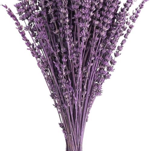 Uieke Dried Lavender Flowers Bundles, 16" Dried Purple Preserved Lavender Bouquet for Shower Weeding Home Fragrance Vase Crafts Decor, 50g (1.76oz)