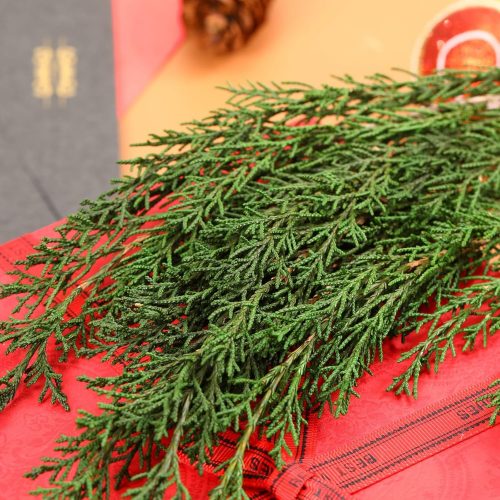 3.5OZ Preserved Real Pine Leaves Branches -17'' Natural Christmas Greenery Plants Twigs Stems Pine Needles Evergreen Picks for Garland Wreath Xmas Wedding Home Party Indoor Outdoor Decor