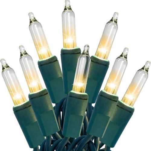 HISHINY Christmas Lights 100 Count Clear Christmas Tree Lights String with Green Wire for Outdoor Indoor Christmas Decorations Wedding Decorations Valentines Day Decor,UL Certified (21feet)