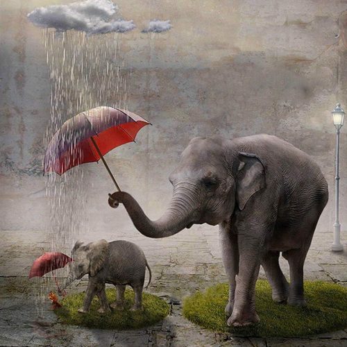1 MMAHD 5D DIY Diamond Art Painting Kits for Adults Full,Elephant Full Drill Embroidery Paintings Rhinestone Pasted DIY Painting Cross Stitch Arts Crafts for Home Wall Decor 11.8×11.8Inches