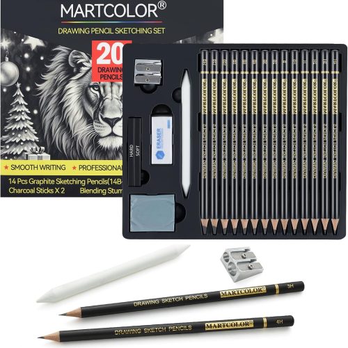 Drawing Sketching Pencil Set, 20 Pieces, Graphite Pencils (14B-4H), Charcoal Sticks, Stump, Eraser, Sharpeners, Ideal for Drawing Art, Sketching, Artist Pencils for Beginners & Pro Artists