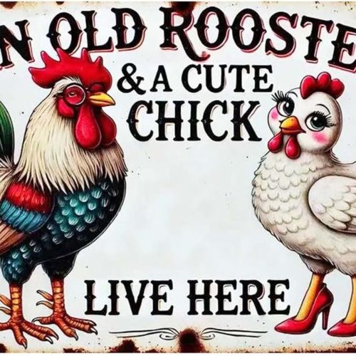 5D Diamond Art Painting Kits for Adults, an Old Rooster & A Cute Chick Live Here Chicken Art Kits for Beginner,DIY Vintage Full Round Gem Crystal Art Paint by Diamond Home Wall Decor12X16inch