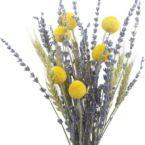1 Dried Flowers Bouquet Dried Wheat Stalks Bundle Natural Lavender Dried Flowers Craspedia Flowers Dried Floral Arrangements for Wedding Party Table Centerpiece Decor Farmhouse DIY