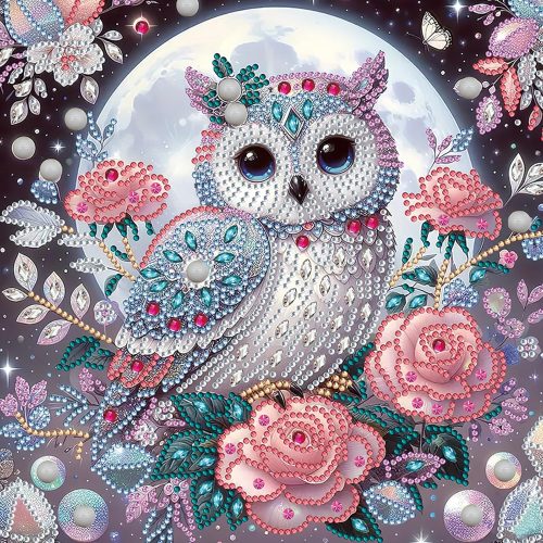 1 5D Special Shape Diamond Art Kits for Beginners, Owl Diamond Painting Kits for Adults, Flowers Crystal Rhinestones Diamond Painting for Home Wall Decoration Gift 12x12inch
