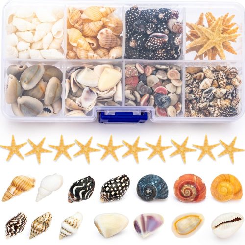 1 Premium Tiny Seashell Mix, Including Sea Shells, Sea Snails and Starfish Total 300+PCS (8 Kinds), Shells for Crafts Decorating Resin and Mosaics Projects DIY Crafts Home Decor Beach Themed Party