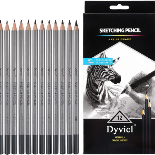 Professional Drawing Sketching Pencil Set - 12 Pieces Drawing Pencils 10B, 8B, 6B, 5B, 4B, 3B, 2B, B, HB, 2H, 4H, 6H Graphite Pencils for Kids, Beginners, Pro Artists