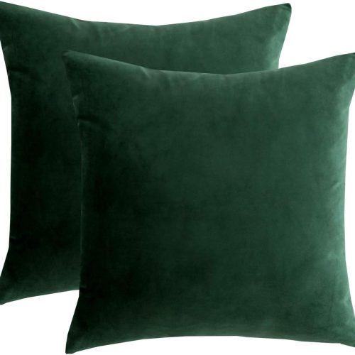 RainRoad Velvet Decorative Throw Pillow Covers Cushion Cover Pillow Case for Sofa Couch Bed Chair,Soft Square Dark Green Throw Pillows 18x18 Inch,Set of 2