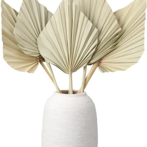 1 6 Pcs Small Boho Dried Palm Fans,Natural Dried Palm Spears Leaves with Stem Bohemian Dried Flower Bouquet Tropical Palm for Boho Wedding Vase Table Decor