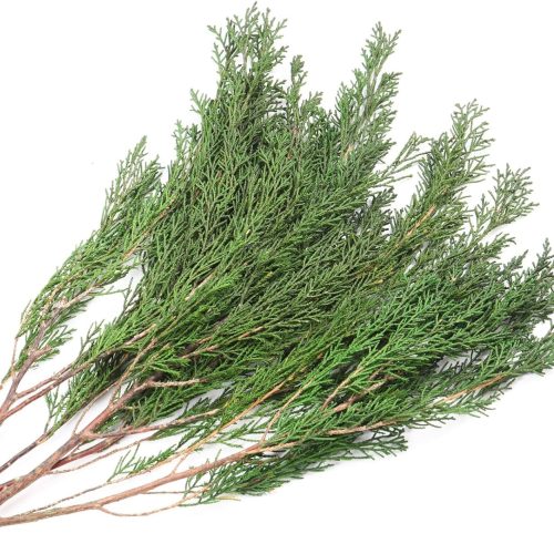 3.5OZ Preserved Real Pine Leaves Branches -17'' Natural Christmas Greenery Plants Twigs Stems Pine Needles Evergreen Picks for Garland Wreath Xmas Wedding Home Party Indoor Outdoor Decor