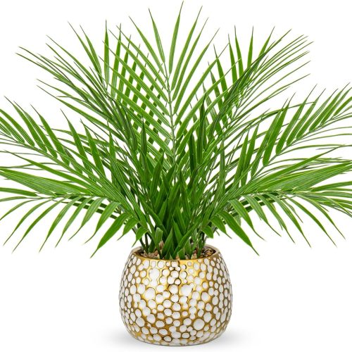 Fake Plants 15'' Faux Palm Plant in Gold-White Pot Realistic Artificial Plants Indoor for Home Farmhouse Centrepieces Wedding Decorations