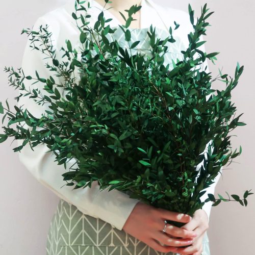 1 20+ Small Branches Dried Eucalyptus Preserved Greenery Stems, 7-14 Pcs 17'' 4oz Natural Real Eucalyptus Bundles for Shower, Green Leaves Plant for Arrangement, Wedding, Home, Office Decor