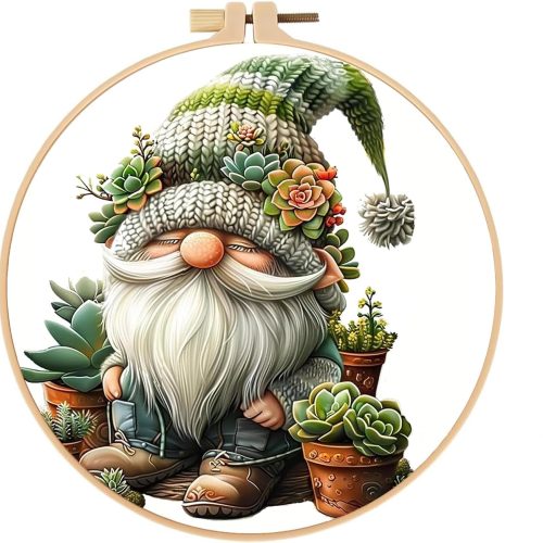 1 Stamped Cross Stitch Kits for Adults with Frame - Gnome Succulents Embroidery Kits for Beginners Adults,11 CT Patterns Dimensions Counted Cross Stitch Kits Arts Craft 8 x 8 inch