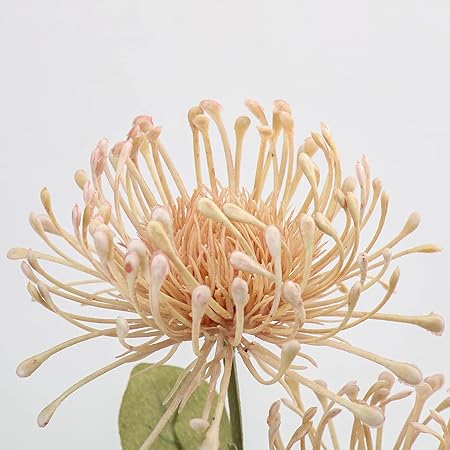 3 33" Pink Artificial Mums Flowers Sping Summer Chrysanthemum Flowers 2Pcs Fake Spider Mum Flower Arrangement Faux Pincushion Flower with 3 Heads Long Stem Bouquet Home Decor