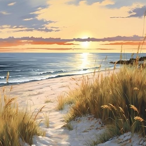 Paint by Number Kits for Adults Beginners, Easy Acrylic Simple Sunset on The Beach Adult Paint by Number Kits, DIY Dunes and Grass Paint by Numbers Kits for Home Wall Decor 16x20inch