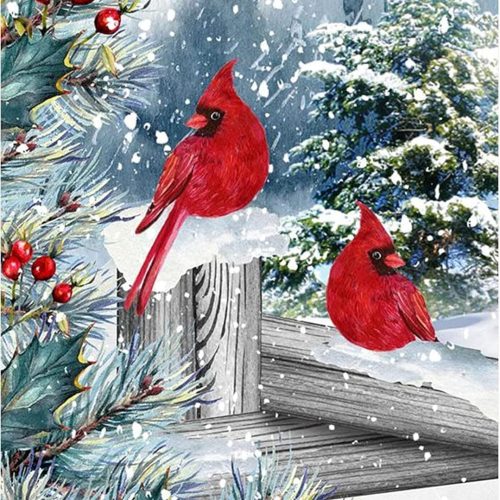 Winter Cardinal Christmas Diamond Art Painting Kits for Adults - Full Drill Diamond Art Paintings for Beginners, Round 5D Paint with Diamonds Gem Art Painting Kits DIY Adult Crafts 12x16inch