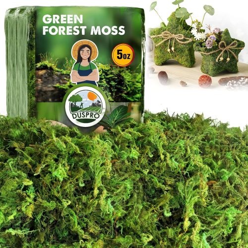 Green Moss for Crafts, Real Forest Moss Potted Plants, Decorative Mosses for Table Centerpieces Wedding Christmas Fairy Party Decor, Indoor Planters, DIY Project (5 oz)