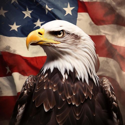 5D Eagle Diamond Painting Kits - DIY Diamond Art Kits for Adults American Flag, Full Round Drill - Crystal Cross Stitch - Adults Craft for Wall & Office Decor - 12x16 inch